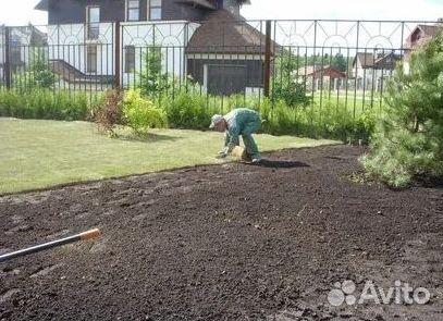 Укладка газона