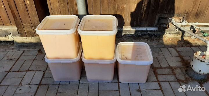 Самый самый Мед из Подсолнуха (доставка до дверей)