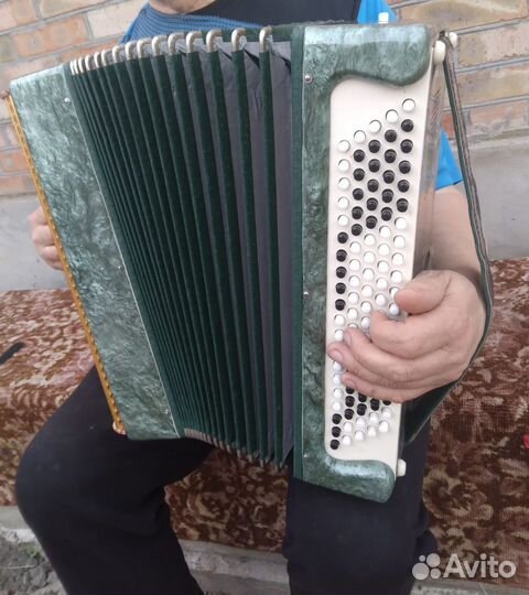 Баян ростов дон