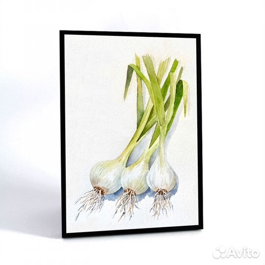 Акварельные картины - овощи, зеленый лук