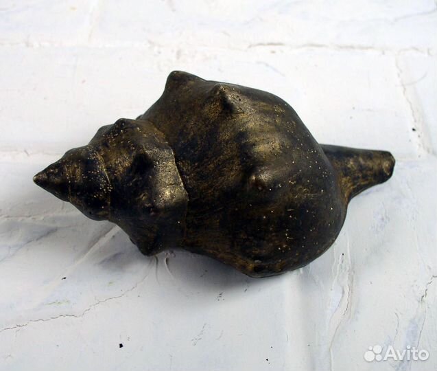 Ракушки: Морские Раковины Декор Каури Рапан Ципрея