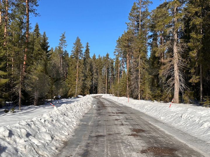 Участок 8,6 сот. (СНТ, ДНП)