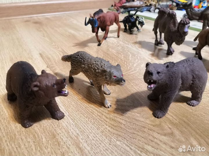 Насекомые, ящерица