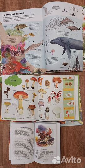 Детские книги, энциклопедии и виммбельбух