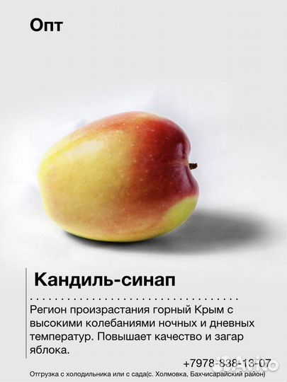 Яблоки оптом кандиль синап