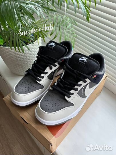 Nike sb dunk low camcorder