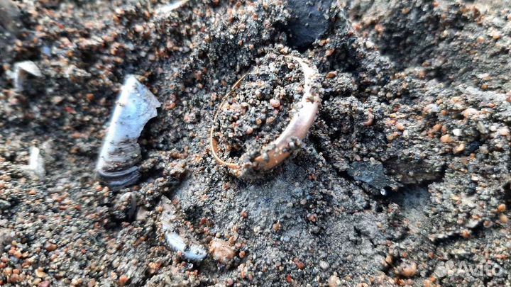 Поиск потерянных вещей, ювелирных изделий, ключей