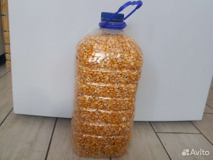 Кукуруза, пшеница, овёс ячмень