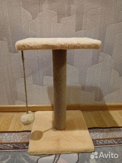 Когтеточка