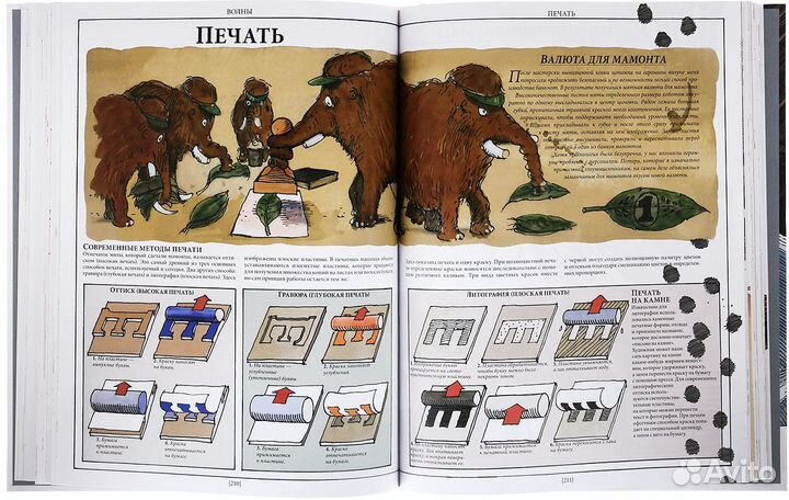 Как все устроено. Дэвид Маколи