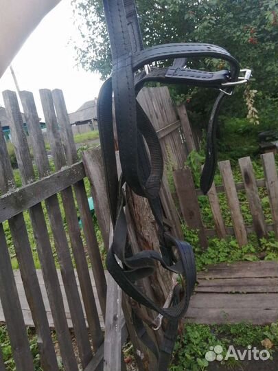 Уздечка для лошади бу