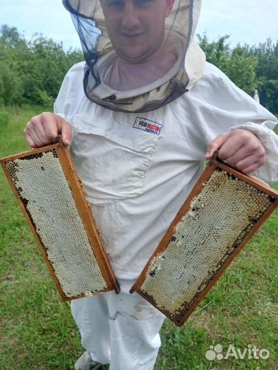 Мед Орловской губернии