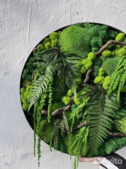 Панно 50 см из стабилизированного мха