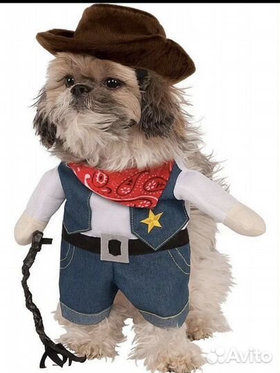 Костюм для собачки и кошки