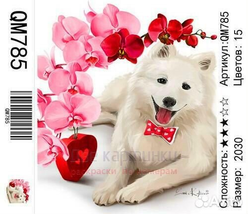 Картина по номерам 20x30 Белая хаски под орхидеей