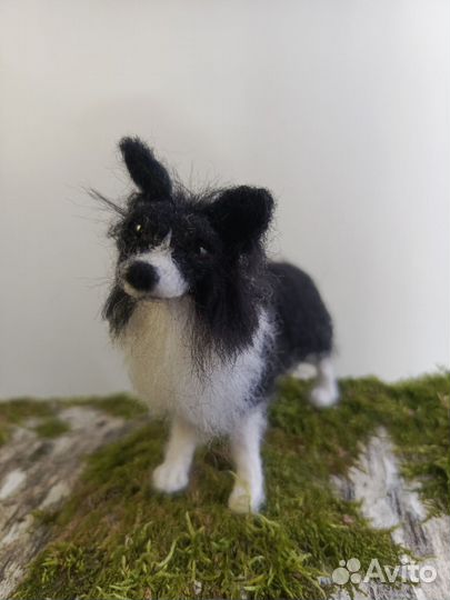 Бордер колли - валяная игрушка из шерсти