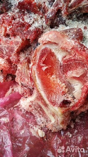 Обрезь мясная говяжья, печень для собак