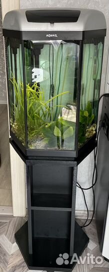Аквариум с тумбой aquael 60л