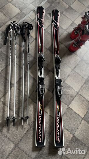 Горные лыжи nordica