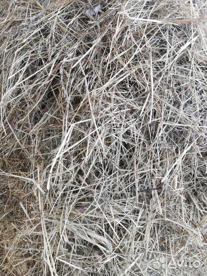 Сено на подстилку, мульчирование