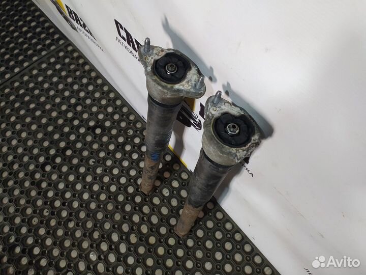 Амортизатор задний (комплект)