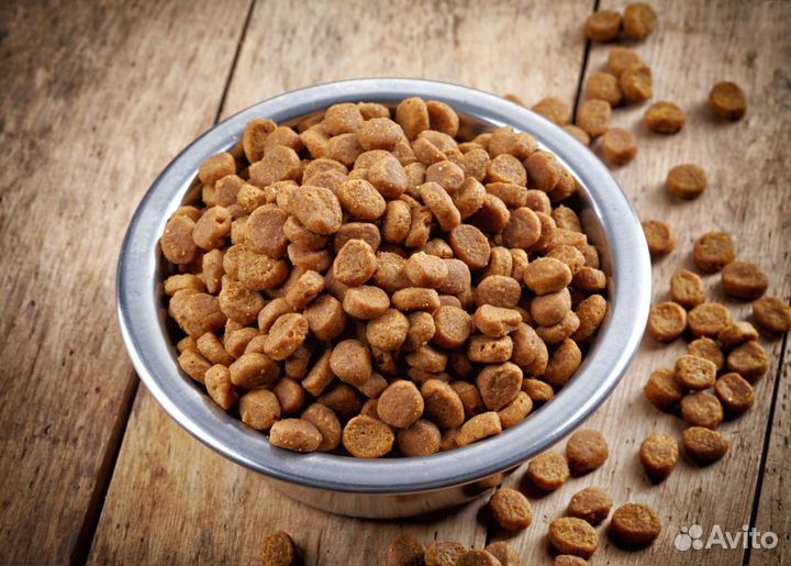 Сухой корм для собак мелких пород