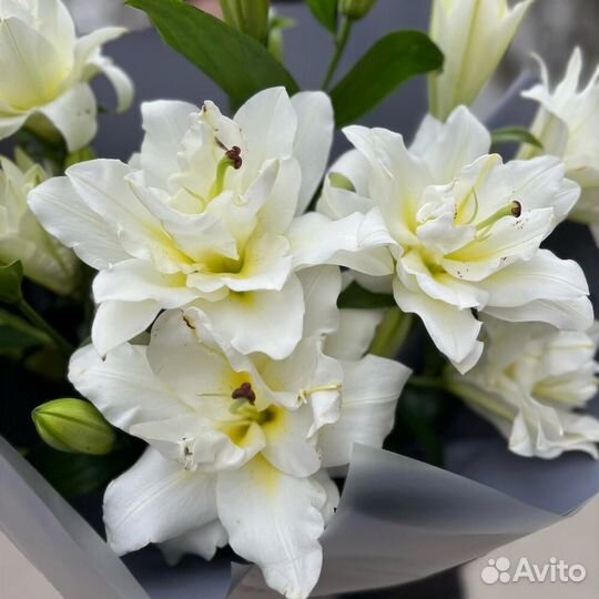 Лилии с доставкой