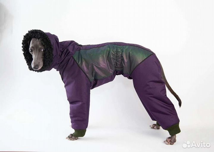 Комбинезон на левретку, зима