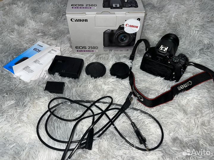 Зеркальный фотоапарат canon Canon EOS 250D