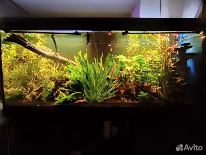 Аквариум 650 литров Atoll Biodesign 650