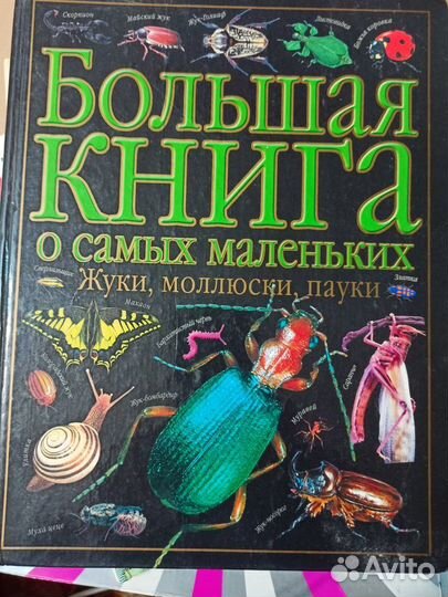 Увлекательные энциклопелии