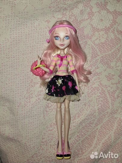 Monster high ooak