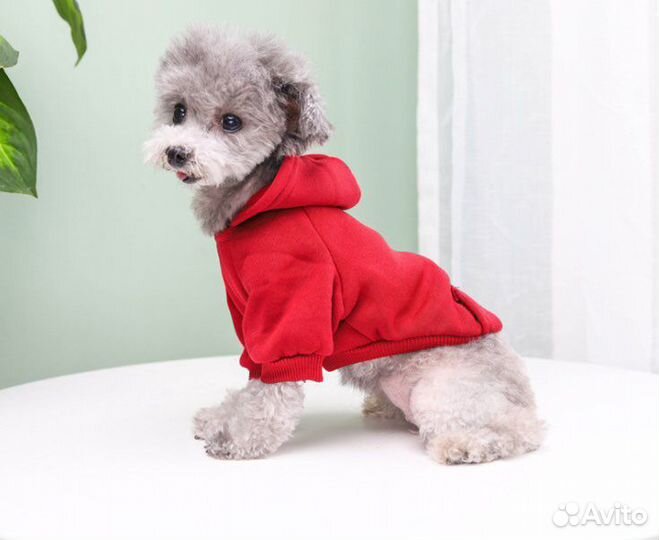 Новые Худи для собак размеры