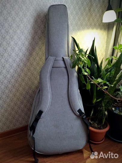 Чехол/кейс для гитары Enya