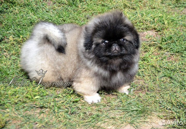 Красивый мальчик