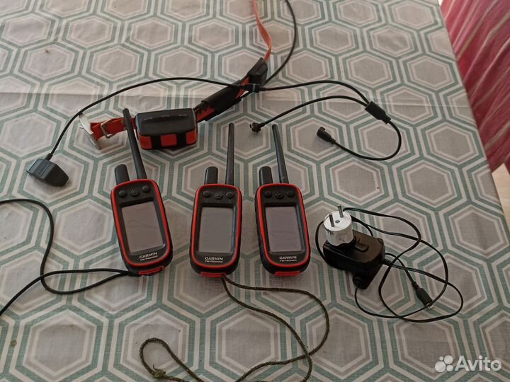 Garmin alpha 100 с ошейником t5