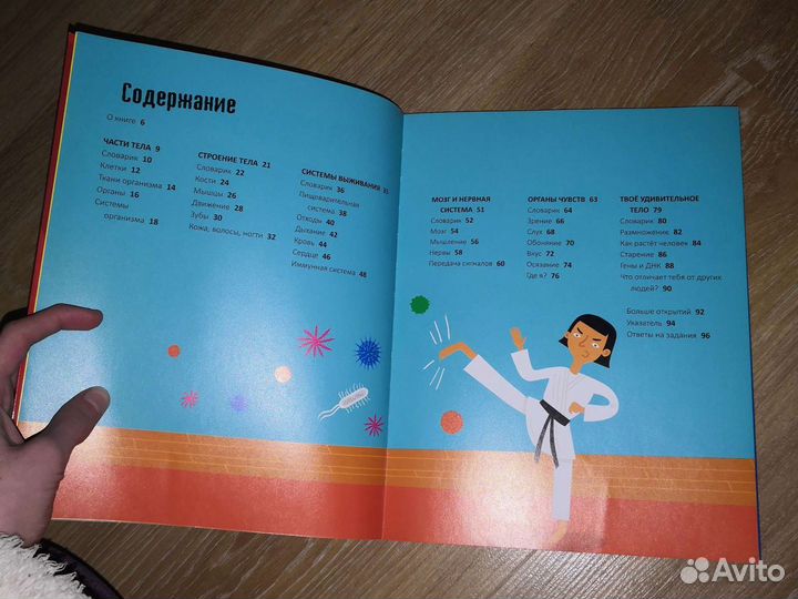 Человеческое тело за 30 секунд