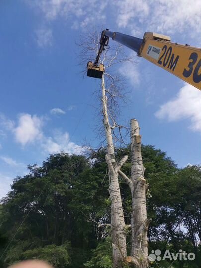 Аренда и услуги автовышки