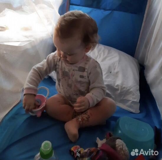 Жд манеж в поезд прокат