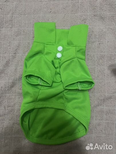 Товары для животных