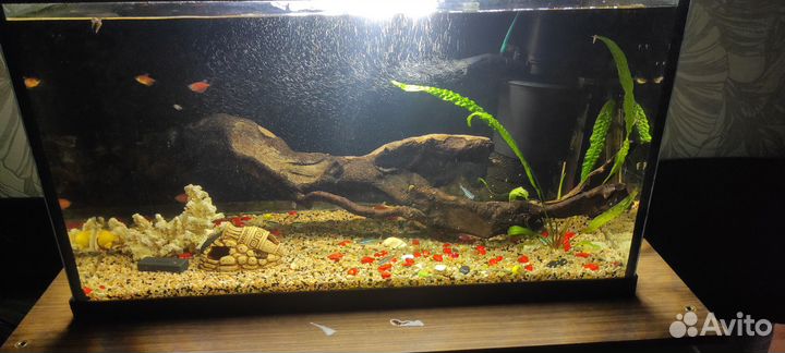 Аквариум 90 литров