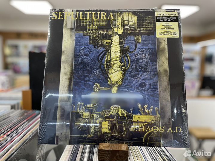 Виниловые пластинки Sepultura