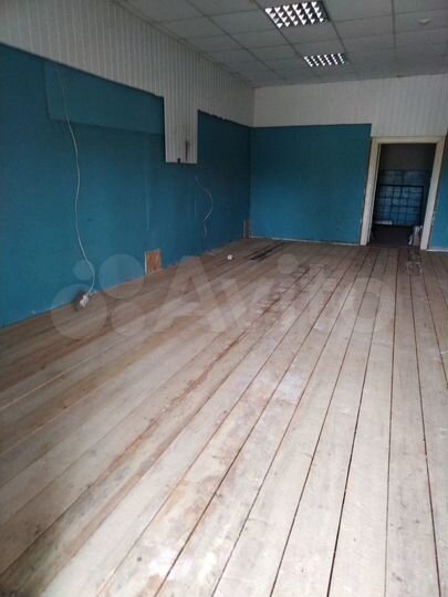 Торговая площадь 65,3 м²