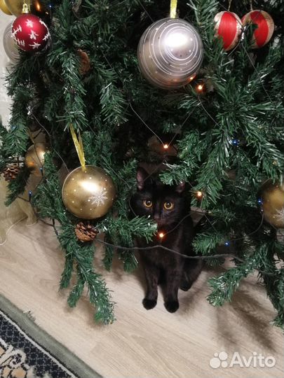 Новогодние игрушки