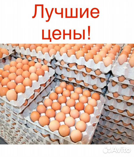 Яйцо куриное