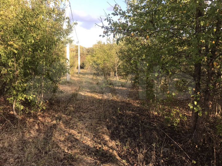 Участок 1,1 га (СНТ, ДНП)