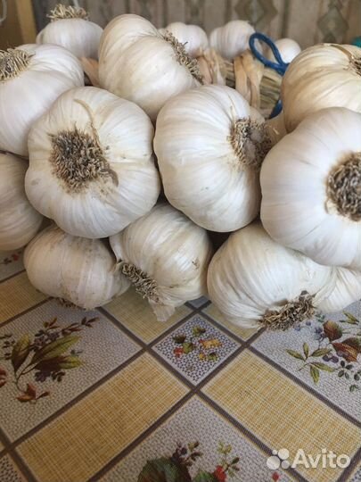 Домашние заготовки из ягод, чеснок,капуста свежая