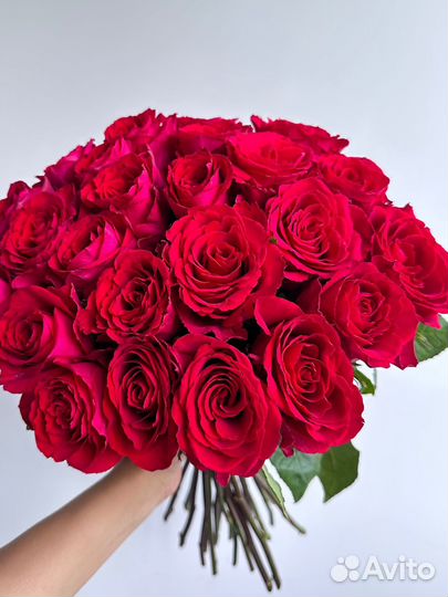 Роза малиновые 50см 25шт,доставка цветов