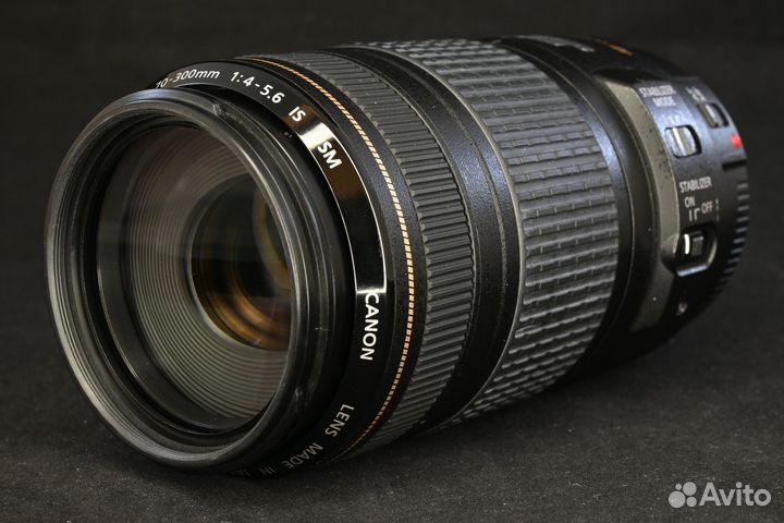 Canon EF 70-300mm 4.0-5.6 IS USM