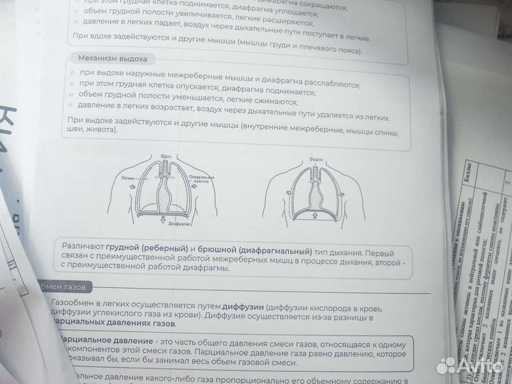 ЕГЭ биология шпаргалки и задания прошлых